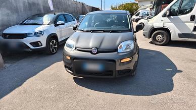 Fiat Panda 1.0 FireFly Hybrid City Life 2022 USATO