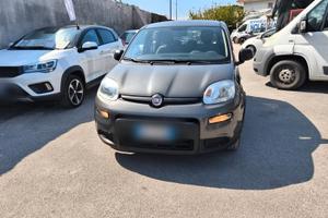 Fiat Panda 1.0 FireFly Hybrid City Life 2022 USATO