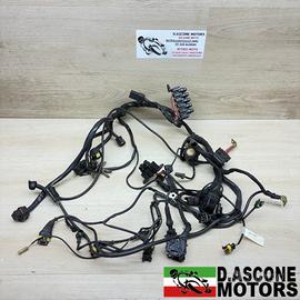 CABLAGGIO DUCATI MULTISTRADA 620 2005 2007