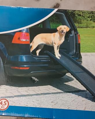 Rampa per cani