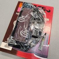 Filtro aria racing K&N per Honda CBR 900