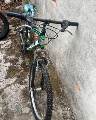 bicicletta