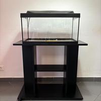 Acquario TETRA 54L con mobile