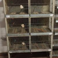 Voliera per uccelli
