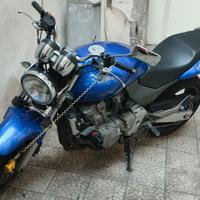 Honda hornet