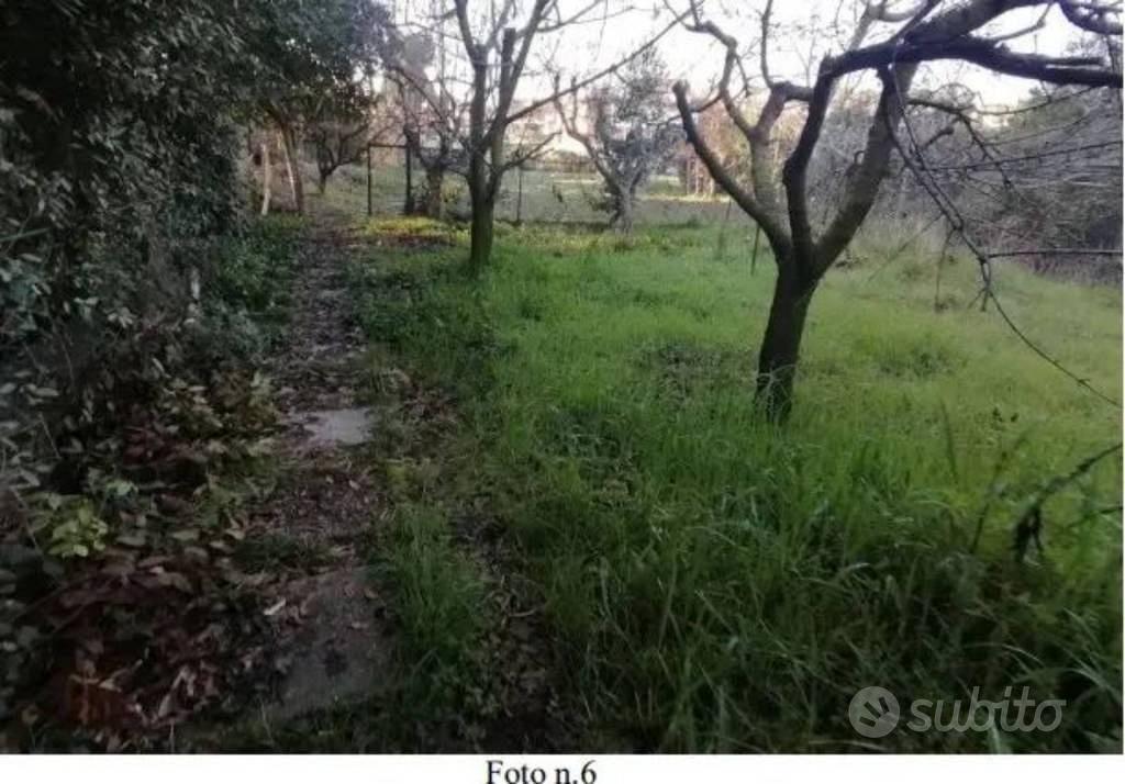 Immobile in asta di 514 m² a Grottazzolina - Vista 2