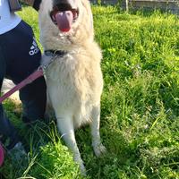 Un sogno di libertà oltre le sbarre: Titty e Tony