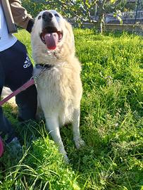 Un sogno di libertà oltre le sbarre: Titty e Tony