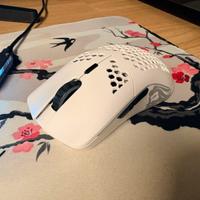 Glorious Model O Wireless