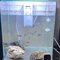 ACQUARIO