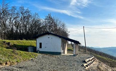 Casetta con vigneto