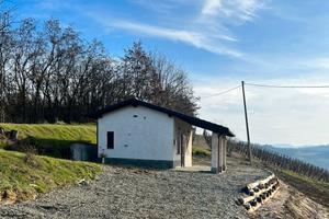 Casetta con vigneto