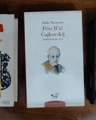 3 biografie compositori Chopin, Čajkovskij, Verdi