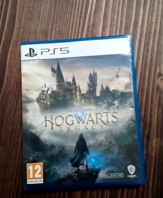 Hogwarts Legacy Ps5