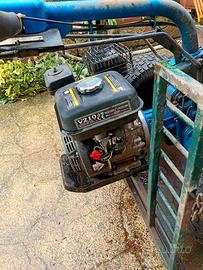 SCOPATRICE  PER OLIVE CON CARRELLO