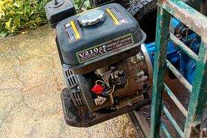 SCOPATRICE  PER OLIVE CON CARRELLO