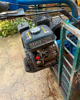 SCOPATRICE  PER OLIVE CON CARRELLO