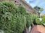 Immagine 24