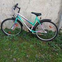 Mountain bike da ragazzo