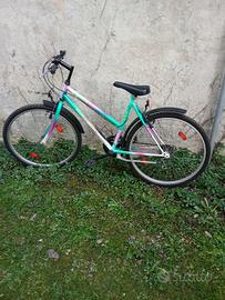 Mountain bike da ragazzo