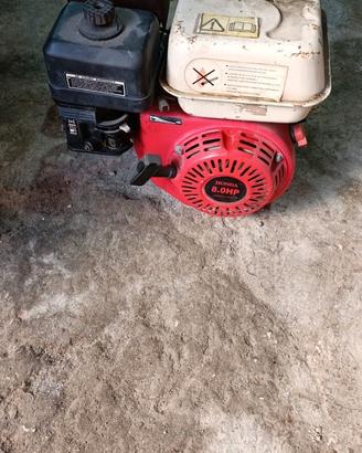 motore per motocoltivatore