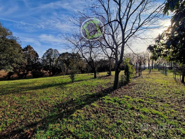 TERRENO AGRICO CON VIGNETO