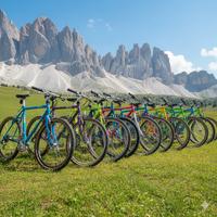 Vecchie Bici MTB anni 80-90 - Ritiro io!