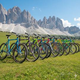 Vecchie Bici MTB anni 80-90 - Ritiro io!