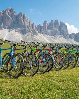 IN CERCAdi Vecchie MTB anni 80-90 - Ritiro io!