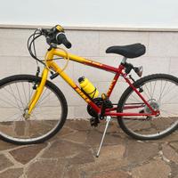 bicicletta