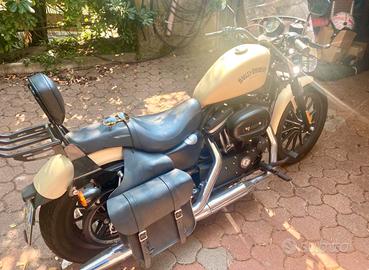 Harley Davidson Iron 883