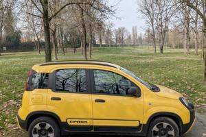Fiat Panda 1.2 City Cross 2019