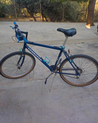 5 biciclette come da foto possibilmente in blocco 