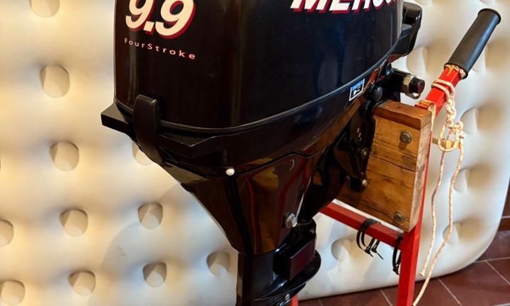 Mercury 9.9 4t