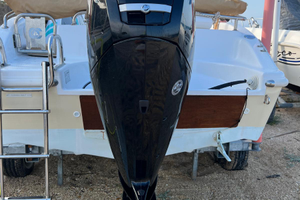 Barca a motore 5.90m+ motore Mercury 115CT