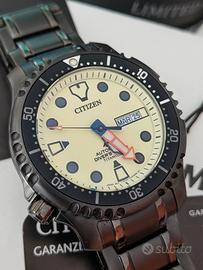 Citizen Promaster Diver's Titanium NY0180-82X  