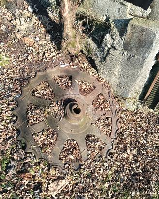 ruota dentata argano ferroviario