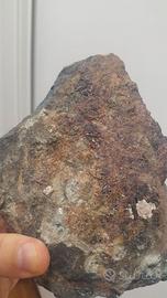Drusa di Vesuvianite e Grossularia Rarità