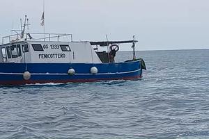 Barca da Pesca con licenza