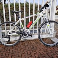 bicicletta MTB Bottecchia 26"