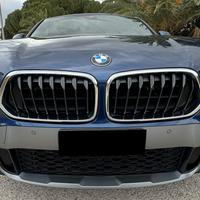 Bmw X2 xDrive20d Msport-X