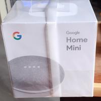 Google Home mini- Firenze