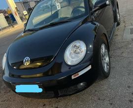 New beetle