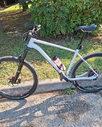 Rockrider AM 100