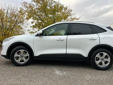 Ford Kuga Connect 1.5 Ecoboost 120 cv
