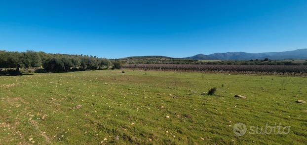 Terreno agricolo