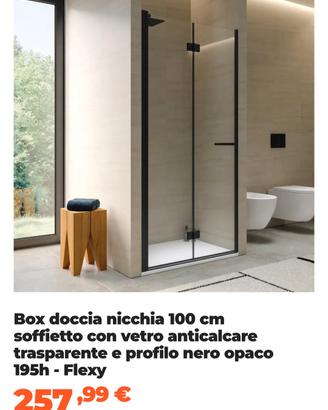 box doccia nicchia 100cm soffietto 