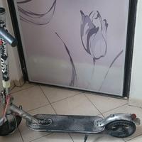 Monopattino Elettrico