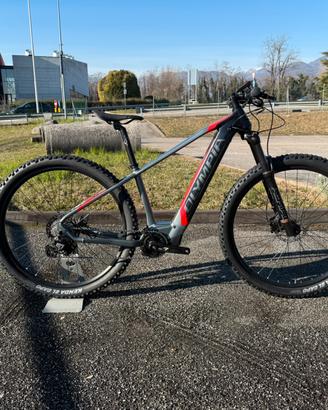 Olympia Performer Tg. S/M