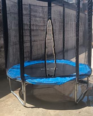 Trampolino elastico 